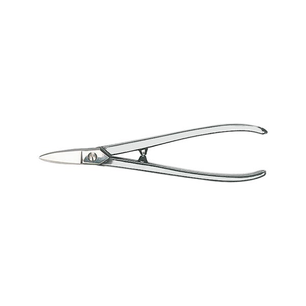 Sommerflieder mit weißen Blüten und grünen Blättern