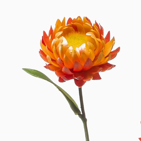 Künstliche Hängepflanze in Grün mit feinen, nadelartigen Blättern und herabhängenden Zweigen.