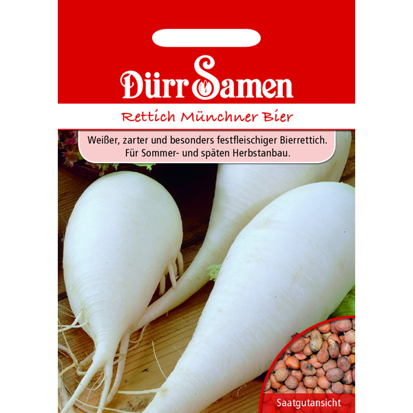 Winterrettich Münchner Bier Saatgut von Dürr Samen