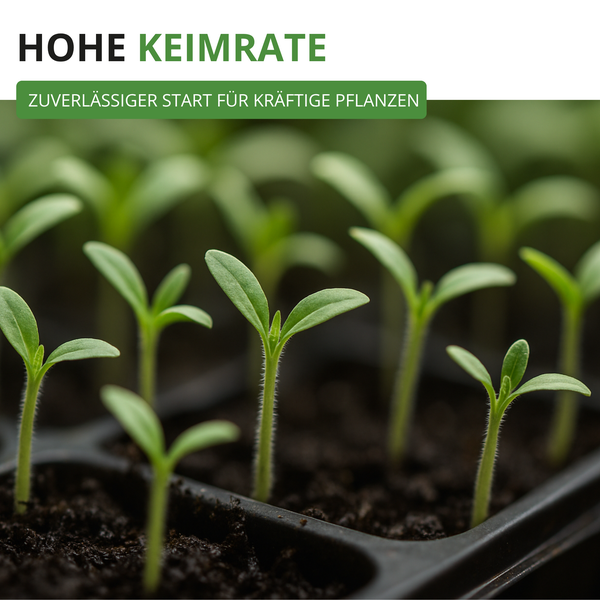 Junge Keimlinge in einer Anzuchtschale mit dem Text Hohe Keimrate und zuverlässiger Start für kräftige Pflanzen.