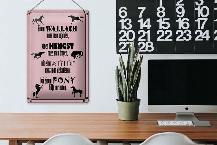 Blechschild Spruch 20x30cm Pferde Wallach Hengst Pony Stute
