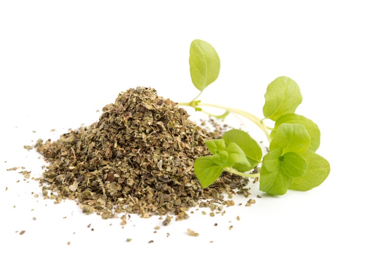 SAFLAX Geschenk Set - BIO - Majoran - Origanum majorana - 700 Samen - Mit Geschenkbox, Versandaufkleber, Geschenkkarte und Anzuchtsubstrat
