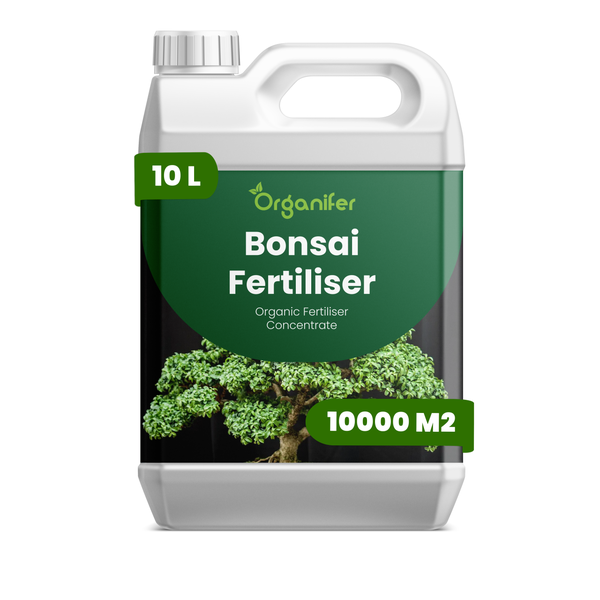 Organifer Bonsai-Dünger, organisches Düngerkonzentrat, 10 Liter Kanister für circa 10000 Quadratmeter.