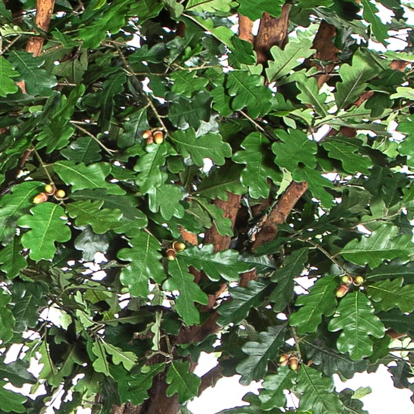 Sockel und unterer Teil eines künstlichen Baumstamms mit Rindenstruktur auf einer quadratischen Basisplatte.