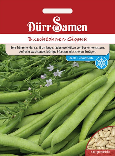 Samentüte für Buschbohnen Sigma von Dürr Samen mit Abbildung grüner Bohnen und Detailansicht der weißen Samen.