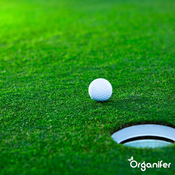 Rasendünger All-In-One (40x = 800 kg für 16.000 m2) - Organifer