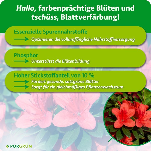 Infografik zum Purgrün Pflanzendünger mit Hinweisen zu Spurennährstoffen Phosphor und Stickstoff für gesundes Wachstum und prächtige Blüten