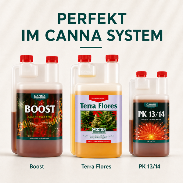Drei Canna Pflanzennahrung Flaschen Canna Boost Terra Flores und PK 13 14 als System fuer das Pflanzenwachstum
