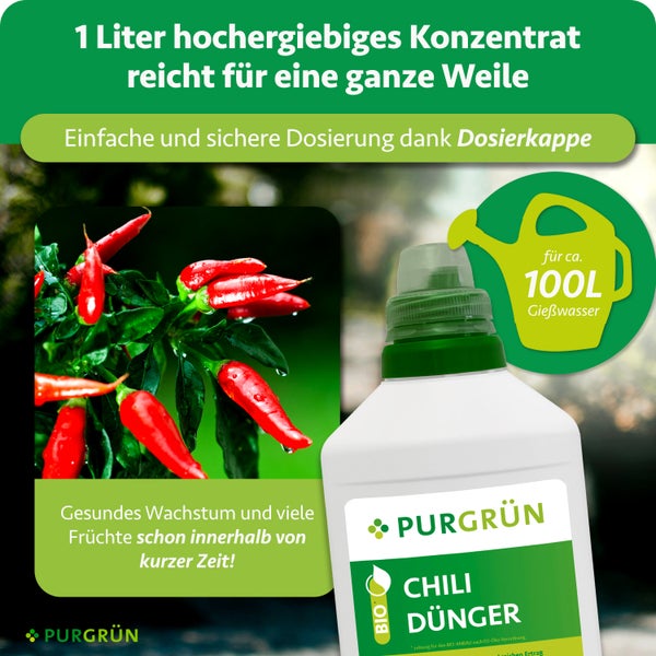 Purgrün Bio Chili Dünger Konzentrat 1 Liter für gesundes Wachstum, reicht für circa 100 Liter Gießwasser, Dosierkappe und Purgrün Logo.