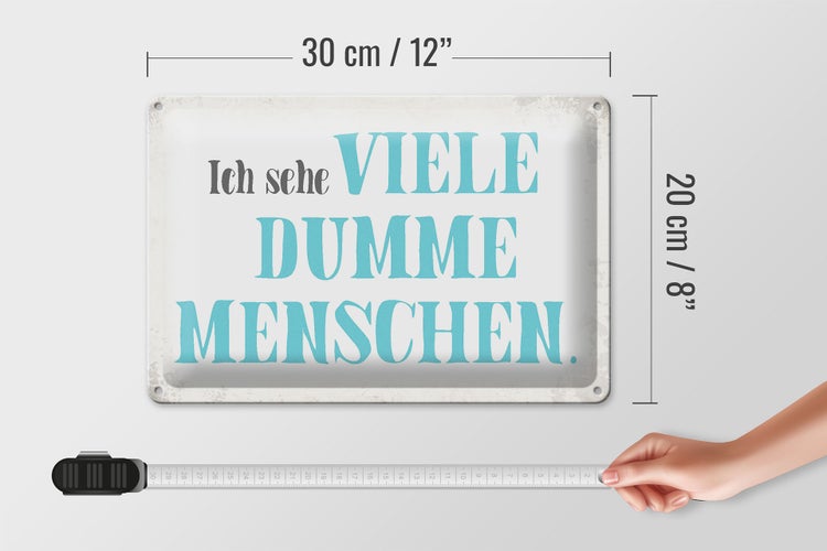 Blechschild Spruch 30x20cm ich sehe viele dumme Menschen