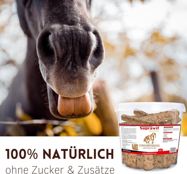 Pferdekopf mit Supravit WiesenGlück Leinsamenriegel-Eimer im Vordergrund, 100 % natürlich ohne Zuckerzusatz
