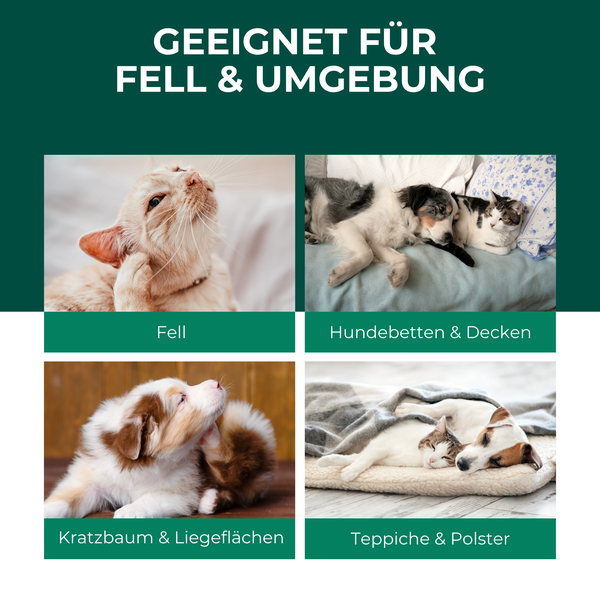 Silberkraft Floh- und Zeckenspray 100ml ml für Hund, Katze & andere Haustiere, ideales Anti-Zecken Mittel, hilft gegen Flöhe, Zecken, Parasiten & Ungeziefer, Made in Germany