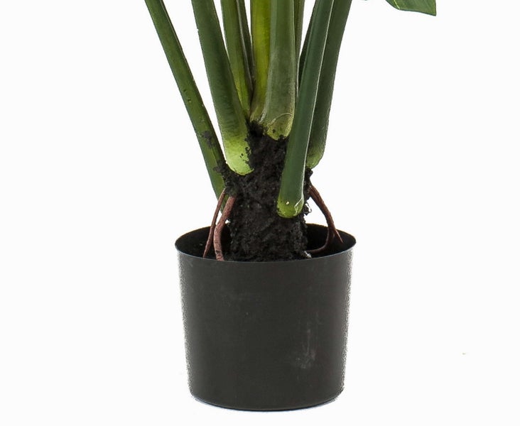 Detailaufnahme einer Kunstpflanze in einem kleinen schwarzen Kunststofftopf mit dicken grünen Stielen und strukturierter Basis.