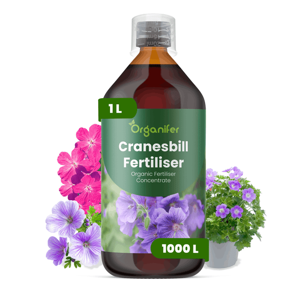 Organischer Storchschnabel-Dünger von Organifer, 1 Liter Konzentrat für bis zu 1000 Liter Gießwasser, mit Messbecher und Organifer Logo.