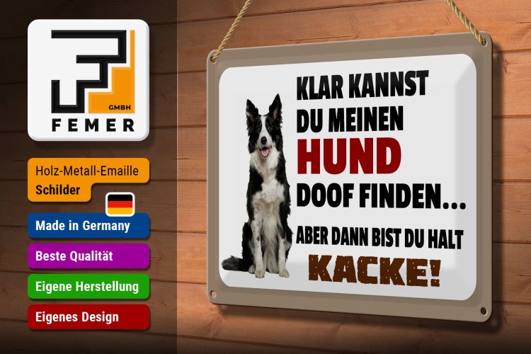 Blechschild Spruch 30x20cm klar kannst du Hund doof finden