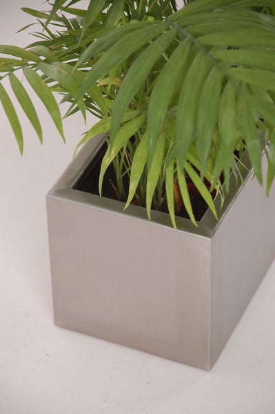 Quadratischer Pflanzkübel aus Metall in Silber mit einer grünen Zimmerpflanze.
