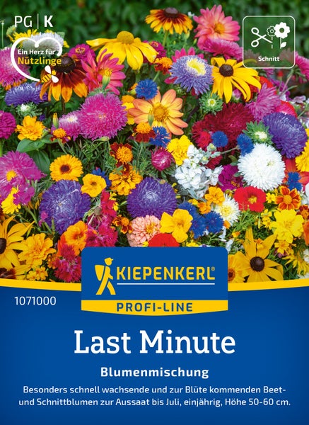Kiepenkerl Profi-Line Blumenmischung Last Minute für schnell wachsende Beet- und Schnittblumen, einjährig, Wuchshöhe 50 bis 60 Zentimeter.
