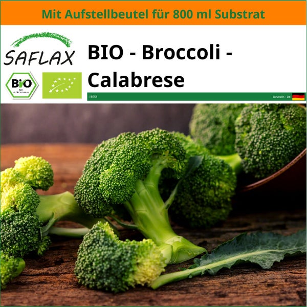 SAFLAX Garden in the bag - BIO - Broccoli - Calabrese - Brassica oleracea - 100 Samen - Mit Anzuchtsubstrat im praktischen, selbst aufstellenden Beutel