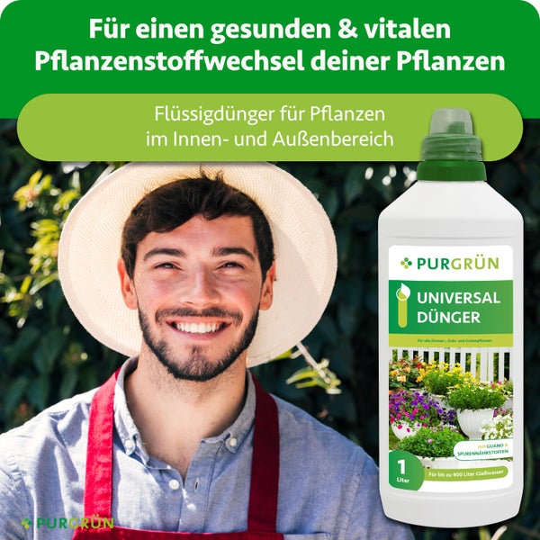 Infografik für Purgrün Dünger zeigt Vorteile von Spurennährstoffen, Guano und Kalium für Blütenpracht und Stabilität. Purgrün Logo.