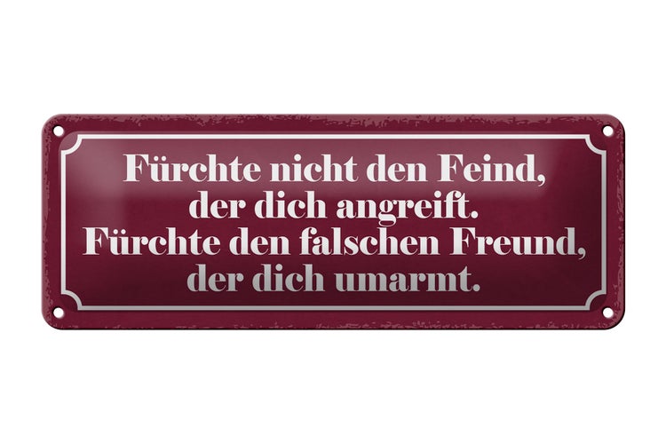 Blechschild Spruch 27x10cm fürchte nicht den Feind der Dekoration