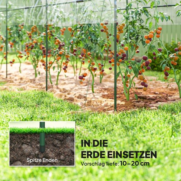 Tomaten-Gewächshaus als Folientunnel mit Metallgestell, inklusive Erdnägeln und Spannseilen für den Garten.