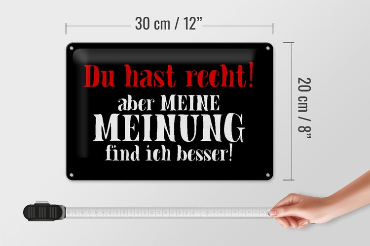 Blechschild Spruch 30x20cm du hast recht aber meine Meinung