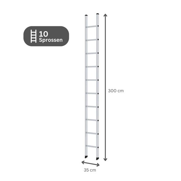 PROREGAL Sprossen-Anlegeleiter 350 mm Breit Ohne Traverse 10 Sprossen