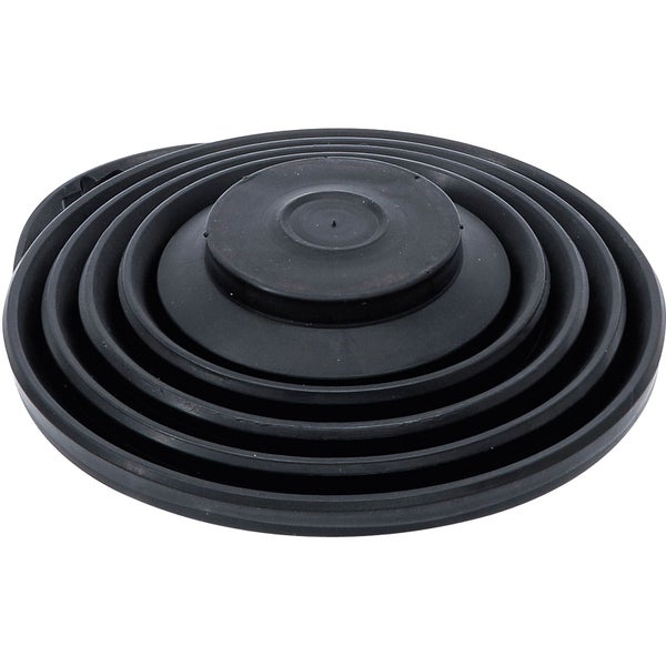 Nahaufnahme einer Hortensie mit Blättern