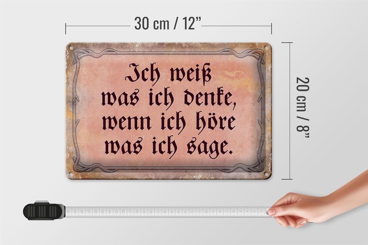Blechschild Spruch 30x20cm ich weiß was ich denke wenn