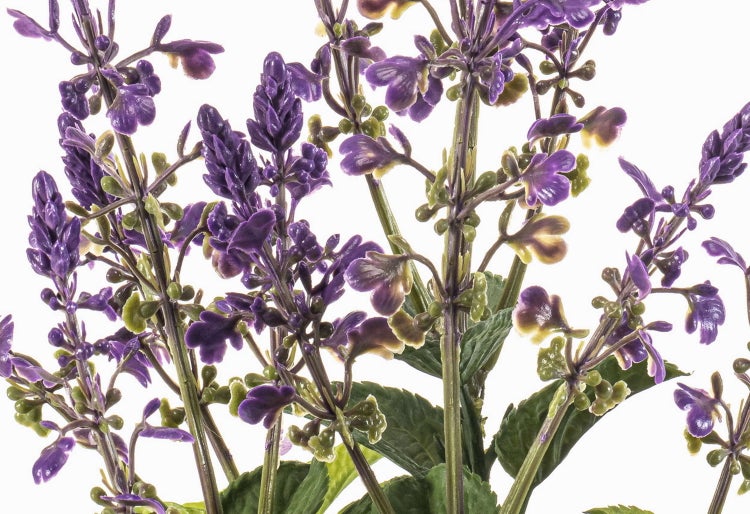 Künstliche Blume mit lila Blüten und grünen Stielen in Nahaufnahme.
