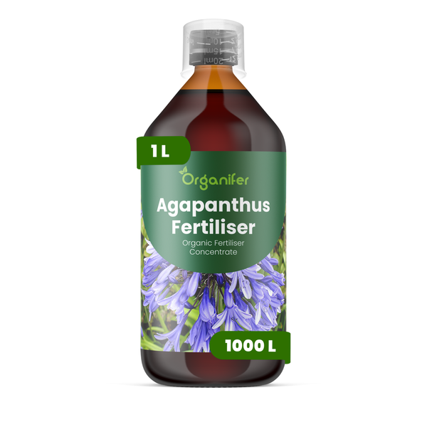 Organifer Agapanthus Dünger, organisches Flüssigkonzentrat, 1 Liter Flasche für 1000 Liter Düngerlösung.