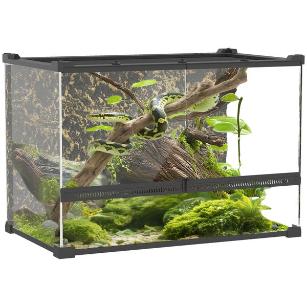 Glasterrarium mit schwarzem Rahmen, eingerichtet mit einem Ast, einer Schlange, Pflanzen und Moos.
