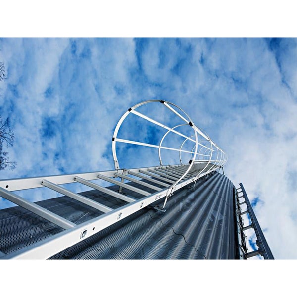 Eine senkrechte Steigleiter mit Rückenschutz an einer gewellten Metallfassade vor einem wolkenverhangenen Himmel.