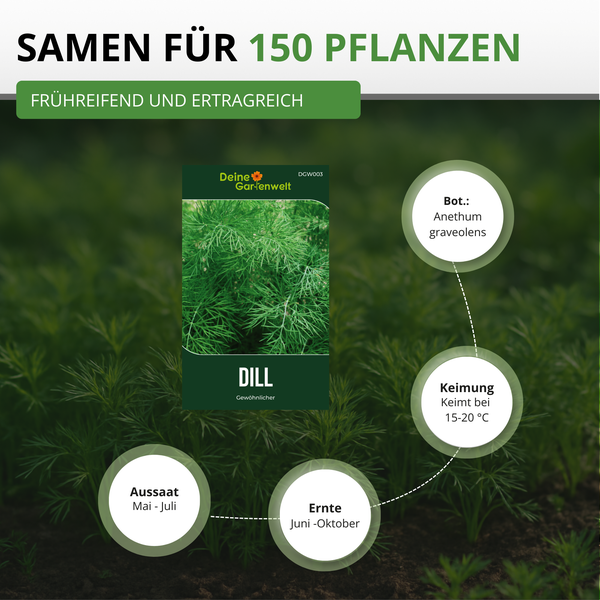 Samentüte Dill für 150 Pflanzen mit Infos zu Aussaat von Mai bis Juli, Ernte von Juni bis Oktober und Keimung bei 15 bis 20 Grad.