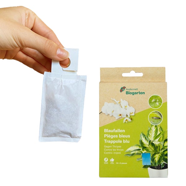 Andermatt Biogarten Blaufallen gegen Thripse, 10er Packung