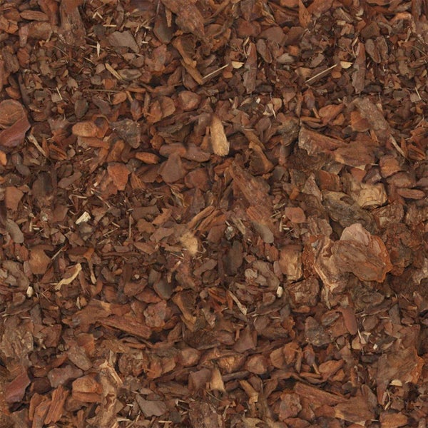 Nahaufnahme von Pinienrinde für Rindenmulch zur Bodenabdeckung im Garten.