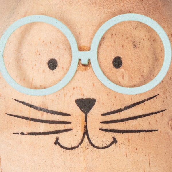 Dekoratives Katzengesicht mit Brille