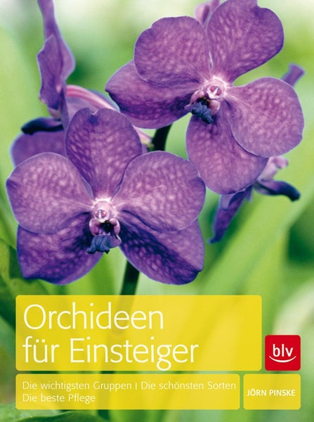 Orchideen für Einsteiger Die wichtigsten Gruppen · Die schönsten Sorten · Die beste Pflege