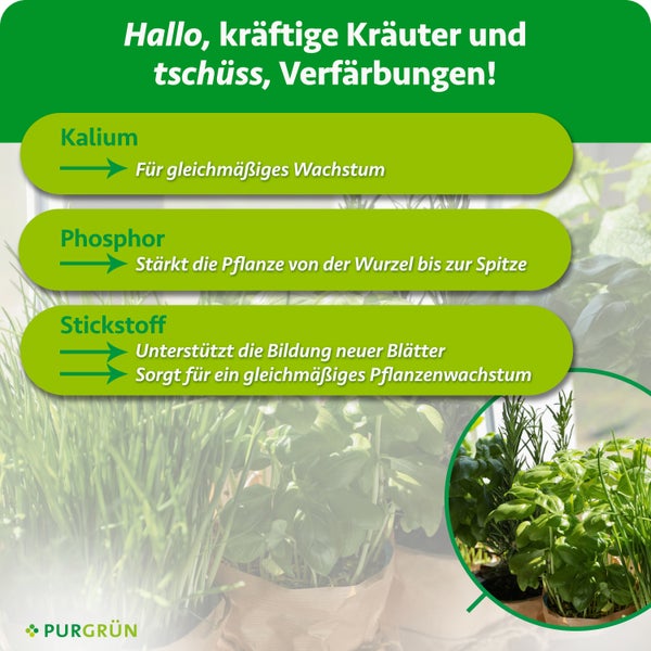 Infografik zur Wirkungsweise von Kalium, Phosphor und Stickstoff in Kräuterdünger von Purgrün für kräftiges und gesundes Pflanzenwachstum.