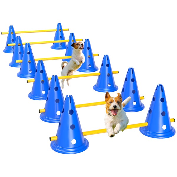 Agility-Set für Hunde mit blauen Pylonen und gelben Hürdenstangen, zwei Hunde springen über die Hindernisse.