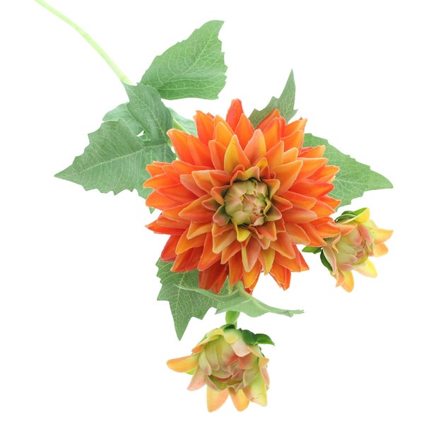 Künstliche Dahlie mit einer großen Blüte, zwei Knospen und grünen Blättern in Orange