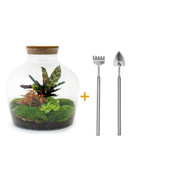 Flaschengarten Fat Joe - ROT - DIY-Pflanzen-Terrarium - 30cm - incl. Rechen und Schaufel