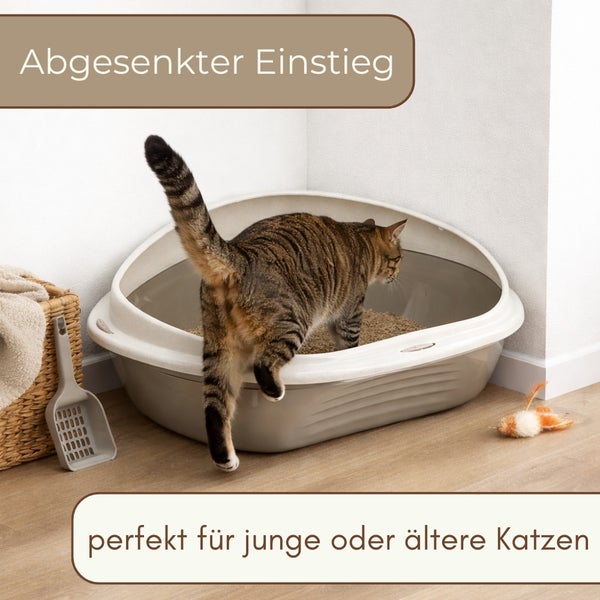 Katze steigt in eine Eck-Katzentoilette mit abgesenktem Einstieg, ideal für junge oder ältere Katzen, neben einer Schaufel.