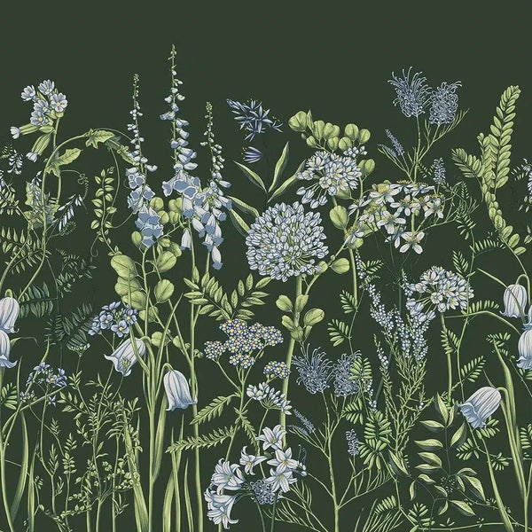 Tapete mit botanischem Muster aus verschiedenen Wiesenblumen, Kräutern und Gräsern im illustrativen Stil.