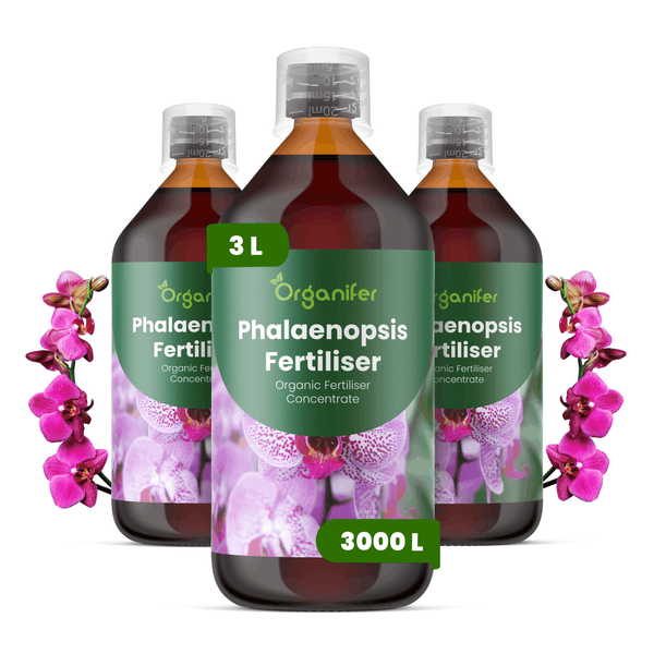 Organifer Phalaenopsis Dünger Konzentrat, 3 Liter Set, ausreichend für 3000 Liter Gießwasser.