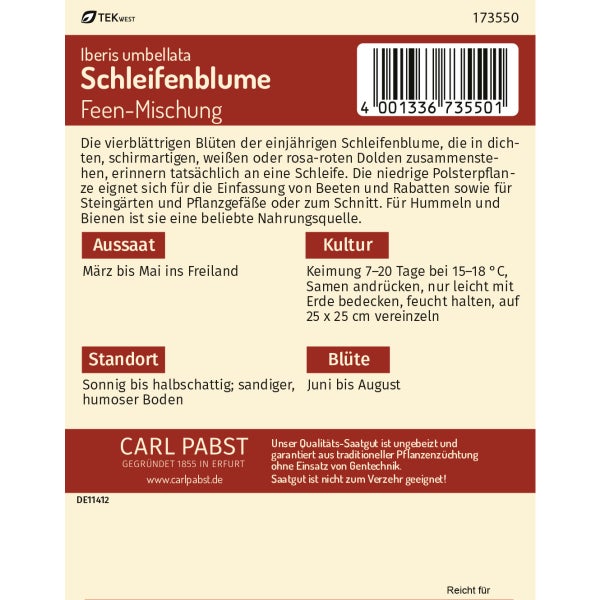 Schleifenblume Feen-Mischung Samen von Pabst Keimkraft