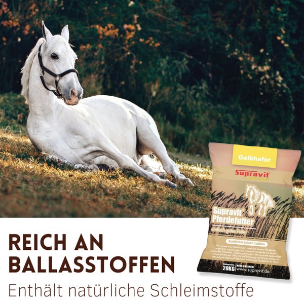 Weißes Pferd liegt auf einer Wiese mit einer Packung Supravit Pferdefutter