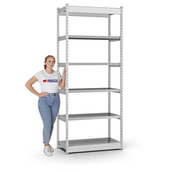 PROREGAL Fachbodenregal Stecksystem Vierkant-Profil Grundregal HxBxT 250 x 132,5 x 40 cm 6 Ebenen Einseitige Bauart Fachlast 200 kg Lichtgrau