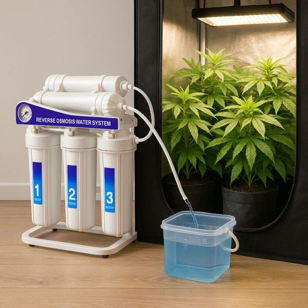 Umkehrosmose-Wasserfilteranlage neben einem Anbauzelt mit Pflanzen unter einer Pflanzenlampe, Wasser fließt in einen durchsichtigen Behälter.