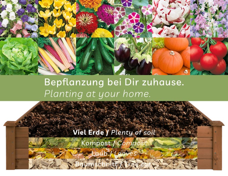 Hochbeet mit verschiedenen Gemüsesorten und Blumen für die Bepflanzung zu Hause.